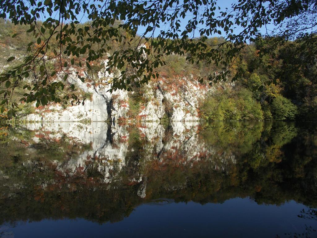 B&B Plitvice Lakes Villa Irene Seliste Dreznicko Exterior foto